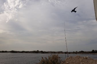Fish farm bird protection