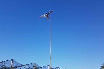 Horticulture protection