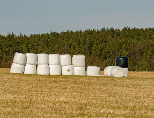 Eco-friendly raptor kite bird deterrent for silage