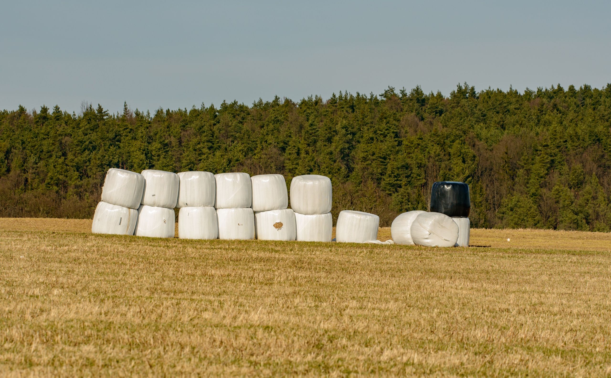 Eco-friendly raptor kite flying above farm silage bales, deterring birds near storage area